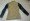Women Khaki Twill Zean Motorcycle Jacket With Leather Sleeves Aramid Fiber Lining